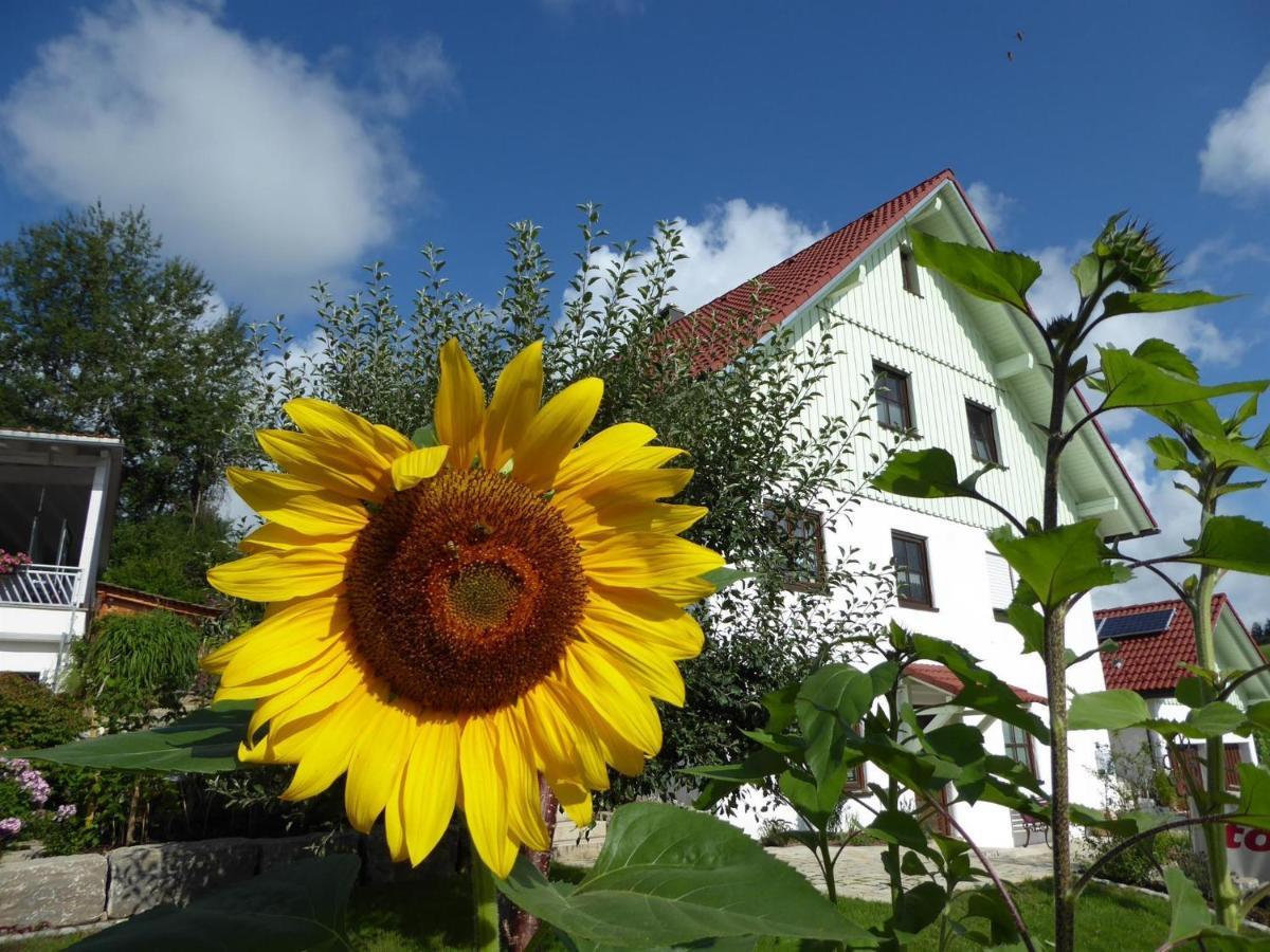 Erholungsraum Karsee - Ferienwohnung Wangen im Allgäu Exterior foto